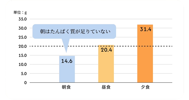 朝はタンパク質が足りていないことを表すグラフ。朝食 平均14.6g、昼食 平均20.4g、夕食 平均31.4g