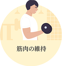 筋肉の維持