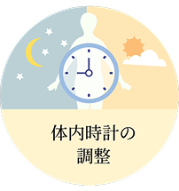 体内時計の調整