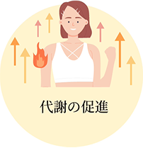 代謝の促進